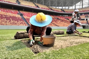 渝媒：龙兴足球场完成8000平方米草坪移植 确保达国际A级赛事标准