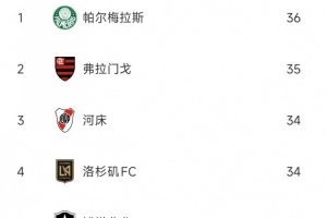 世俱杯球队犯规榜：帕尔梅拉斯、弗拉门戈、河床3支南美队排前三